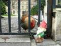 Cock vs. Gnome