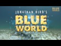 Tiger Shark Handling | JONATHAN BIRD'S BLUE WORLD bird