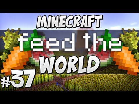 Feed The World - #37 Man's Second Best Friend