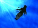 Final Fantasy Storm