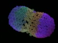 Phish - The Borealis - Festival 8 - Indio, CA - 10/30/2009 - James Bond 007 Theme Song - Burple