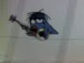 my favorite bird...