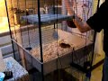 furet tower - part1