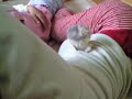 cotton 6