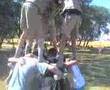 Tropa-Senior-Yanomam