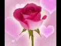 poemas-de-amor