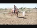Vanna Gets Sideways.wmv
