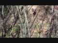 Pennsylvania Archery Season 2009 Nov 7-9