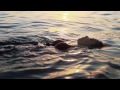 King Midas Sound - Funny Love