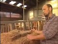 dierenwelzijn melkveehouderij dierenwelzijn melkveehouderij