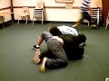 mexican dog pile mexican dog pile