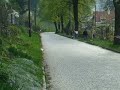 Kuzi walim kostka Kuzi walim kostka
