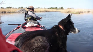 Video 1: Lake Winnipeg (Spring 2016) // Lac Winnipeg (printemps 2016)