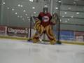 Selects Hockey Camp
