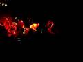 Goldfinger-Open-Your