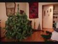 C�mo montar un �rbol de Navidad