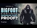Animal X - Skookum Cast Promo
