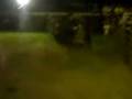videos de Pedrerinha vs Tira Teima