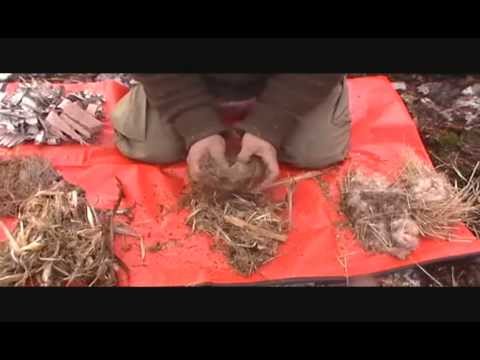 how to provide nesting material for birds