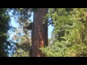 Chris and Steve \"GOODBYE\" video