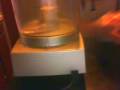 Depression Cooking (2009): Less than $5: (No Browning) Guacamole