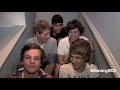 Niall Horan – His laugh!
