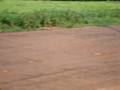 videos de AVA_AEROMODELOS_RODOLPHO_E_POUSO_JACA_HOMERO