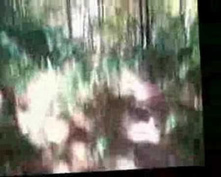 Imagen de previsualización de YouTube