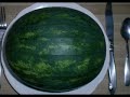 Dinner