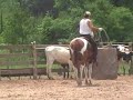 Target roping paint horse Target roping paint horse