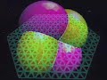 The Optiverse The Optiverse
