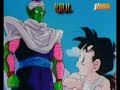 superfussion delmo y pera