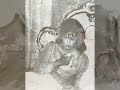 virginia zeani is accompanied in the final scene of the opera by luigi infantino as alfredo and antonio boyer as giorgio in an italian radio transmission from rai in 1965
   .  the photographs show alfredo kraus and peter glossop, and  the paintings are from london performances in 1962.