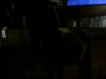 videos de reuter