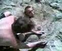 Buried mate