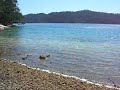 Playa en la isla de Mljet Playa en la isla de Mljet