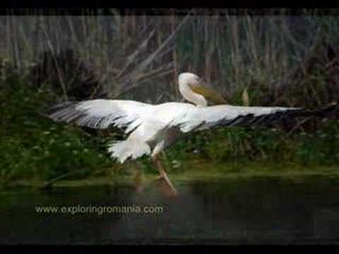 Rebirth Of The Danube Delta