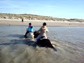 MegaStrandrit2008