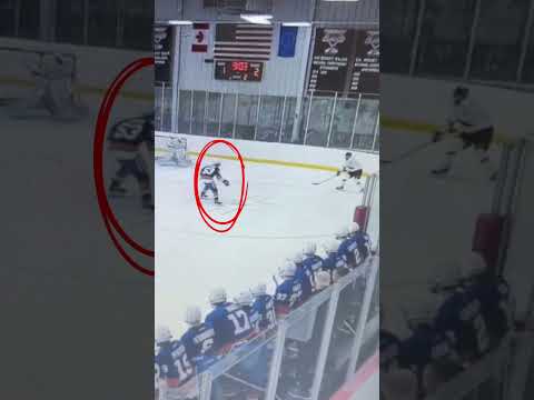 2024-25 1/4 season highlights