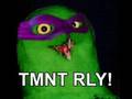 O RLY?