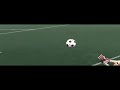 EURO 2008: Long distance goal.