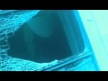 COSTA CONCORDIA: Eerie new underwater footage