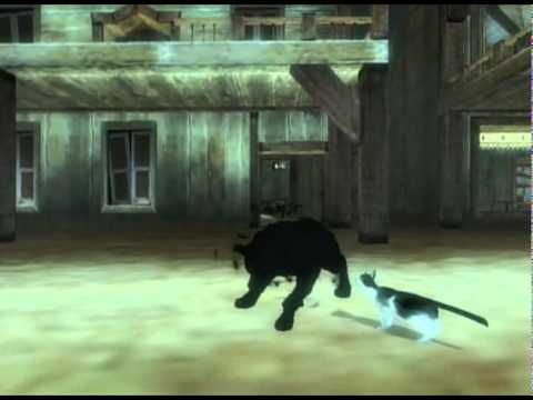 The Legend of Zelda : Twilight Princess