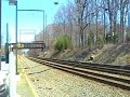 Septa 4137 keeping horn short and not to sweet