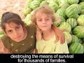 Free Palestine: Gaza is not free, it's a huge israeli prison