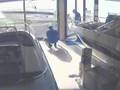 videos de Spycam