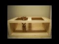 HOW TO: Plywood Aquarium