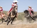 Horses, Cowgirls, Charros, Gypsy, Friesian, beautiful. Horses, Cowgirls, Charros, Gypsy, Friesian, beautiful.