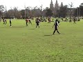 Ball in the Groin