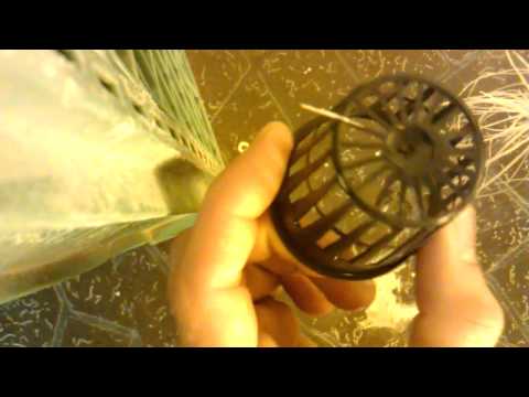 how to transplant into coco